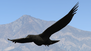 Crow-GTAVe-Flight.png