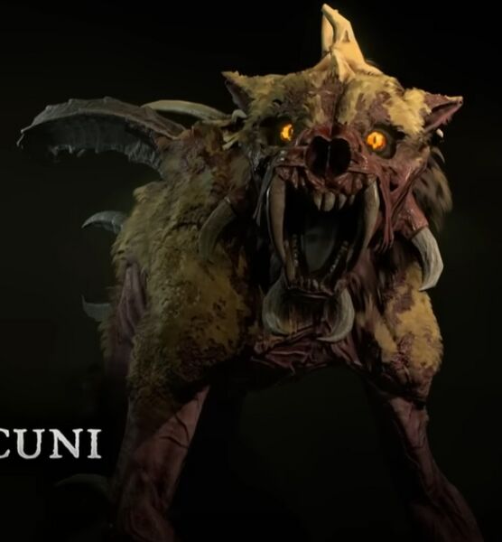 파일:Lacuni-D4-brute.jpg