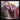 Malzahar