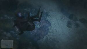 Trevor-GTAV-Scubadiving.jpg