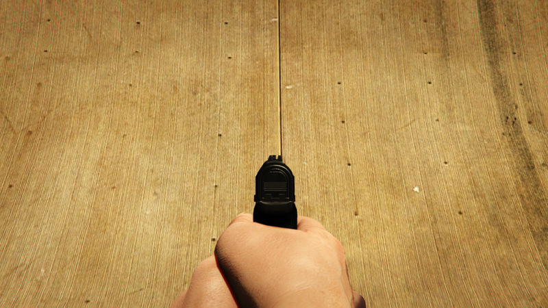 파일:WM29Pistol-GTAOe-IronSights.png