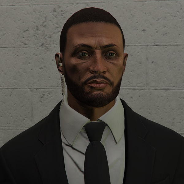 파일:CasinoVaultGuard-GTAOe-Portrait.png