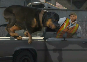 Chop-Trailer2-GTAV.png