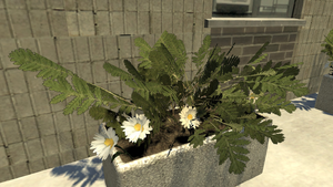 ChristmasFern&DaisyFlower-TBoGT-SS1.png
