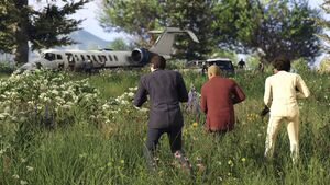 GTA Online FAFF Screenshot 2.jpg
