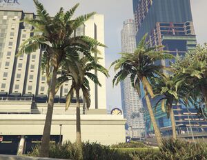 PalmTree-GTAV-SS2.jpg
