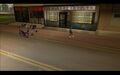2026년 5월 14일 (목) 10:25 판의 섬네일