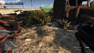LiquidMarket-GTAOee-WhiskeyBottles-HaulingCab.jpg