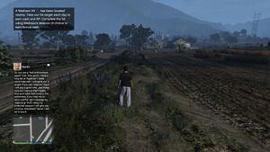 MadrazoHits-GTAOee-TextMessageInfo.jpg