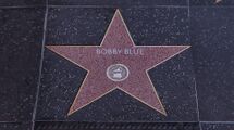 바인우드 명예의 거리에 있는 바비 블루의 별.