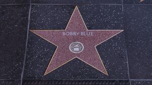 WalkofFame-GTAVee-BobbyBlue.jpg
