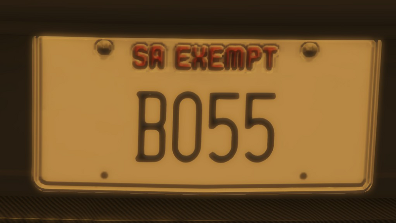 파일:Custom Plate GTAO B055.png