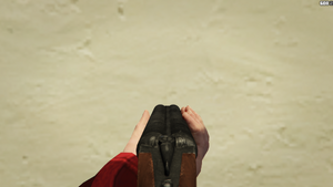 DoubleBarreledShotgun-GTAO-FPVIronSights.png
