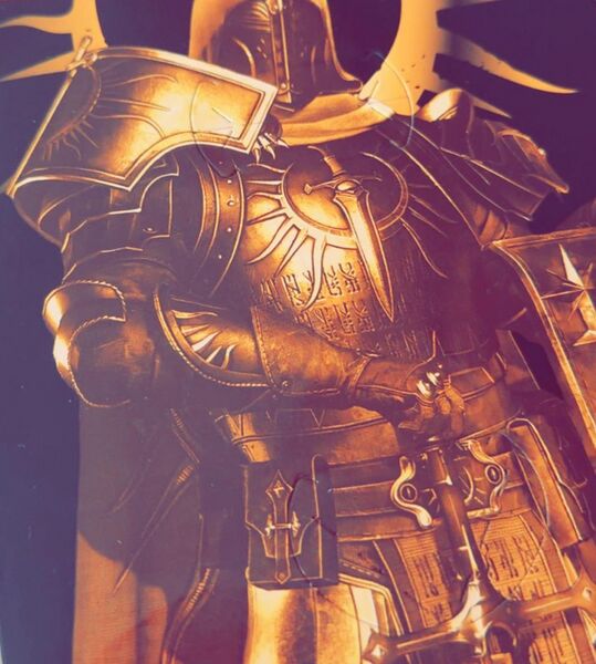 파일:Paladin-fanta.jpg