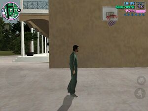 Basketball on Starfish Island.jpg