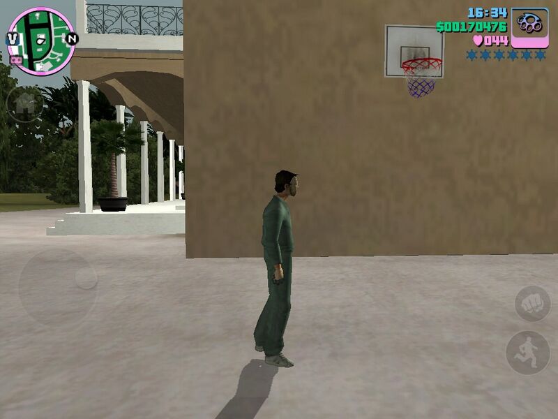 파일:Basketball on Starfish Island.jpg