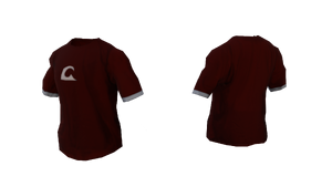 Beta-GTASA-CharacterCustomization-Torso-tshirt-3.png