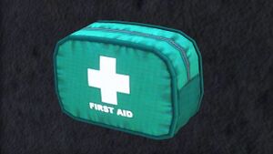 Health-GTAV-InGameModel.jpg