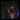 Zed
