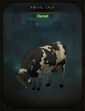 Anniversary-event-pet-2.jpg