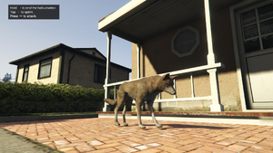 Peyote Plants Animals GTAVe Coyote.png