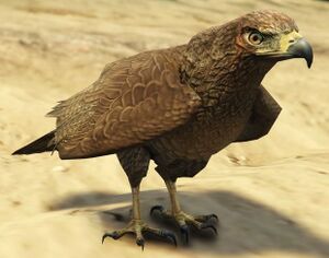 Hawk-GTAV.jpg
