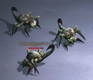 ScarabsCloseup.jpg