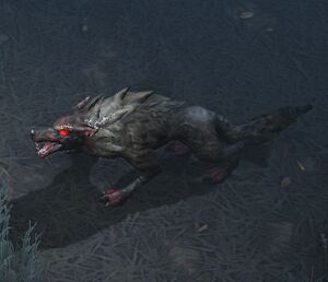 Direwolf 2.jpg
