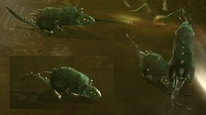 Rats.jpg