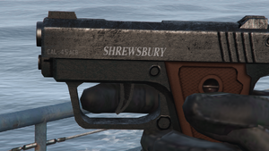 SNS Pistol-GTAV-Markings.png