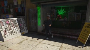 GTAVGameplayTrailer-GTAV-SS49.png