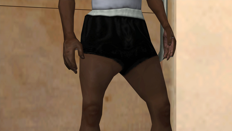 파일:Clothing-GTASA-Binco-Legs-BlackBoxers.png