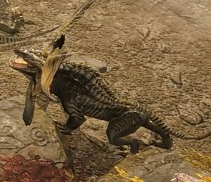 Varanid Yowler.jpg