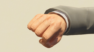 Fist-GTAVee-Michael.png