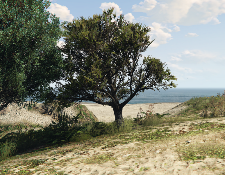파일:Mesquite-GTAV.png