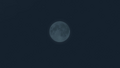 2026년 5월 16일 (토) 23:54 판의 섬네일