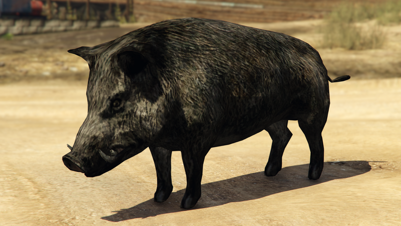 파일:Boar-GTAVe-Var2.png