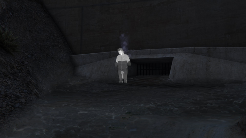 파일:GhostsExposed-GTAOe-DomBeasley.png