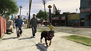 ChopMission-GTA5.jpg