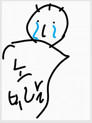 부랄없는 갓왕.jpg