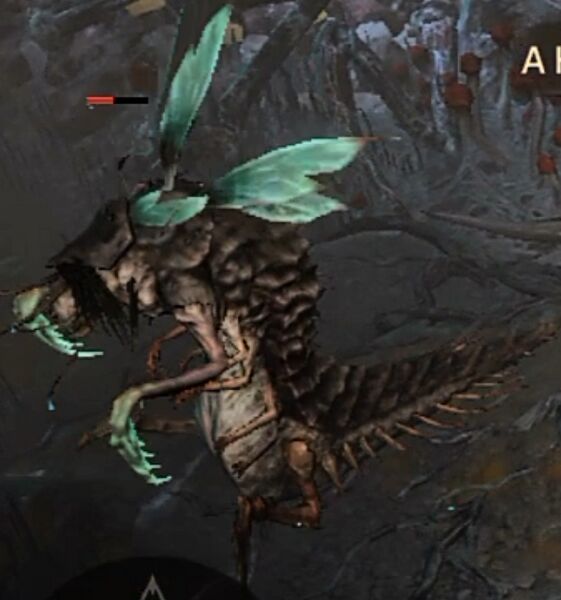파일:Gore Mantid.jpg