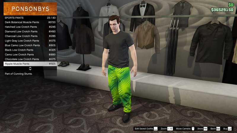 파일:CunningStunts-GTAO-MalePants-SportsPants1-RippleMusclePants.png