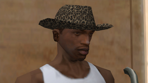 Clothing-GTASA-Binco-Hats-LeopardCowboy.png