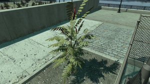 StaghornSumac-GTAIV-SS1.png