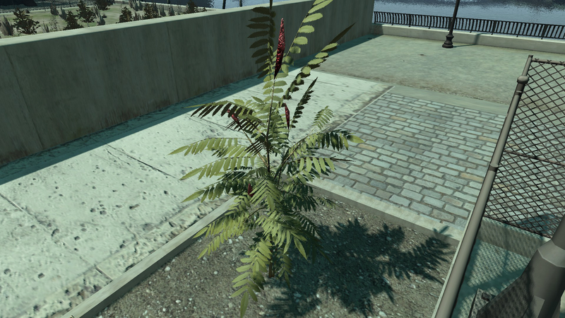파일:StaghornSumac-GTAIV-SS1.png