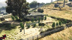 TorchTheWeedFarms-GTAOee-GrandSenoraDesert1.jpg