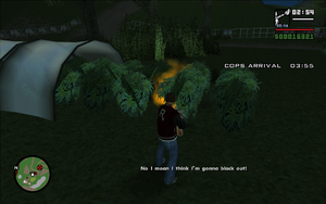 AreYouGoingToSanFierro-GTASA-SS23.png