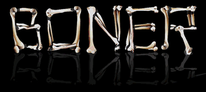 Boner-GTAIV-TVShowLogo.png
