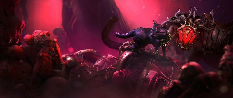 파일:Lily cat.jpg