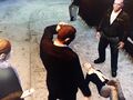 2026년 5월 13일 (수) 14:41 판의 섬네일